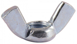 STEEL