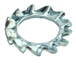 EXTERNAL TOOTH
